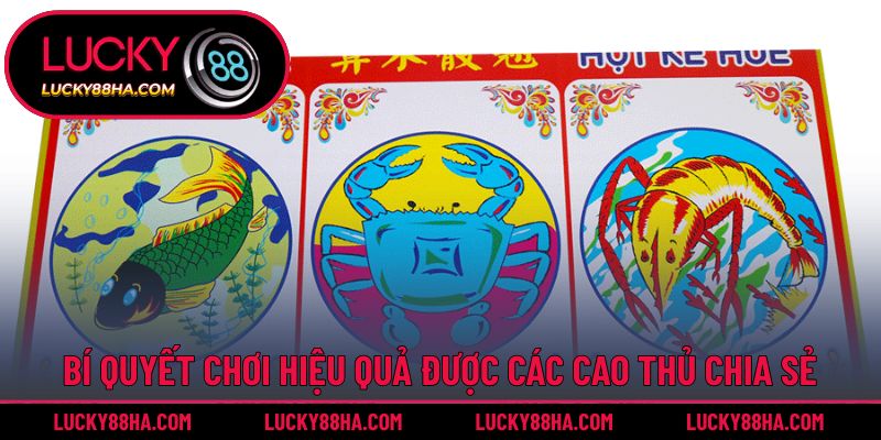 Bí quyết chơi hiệu quả được các cao thủ chia sẻ