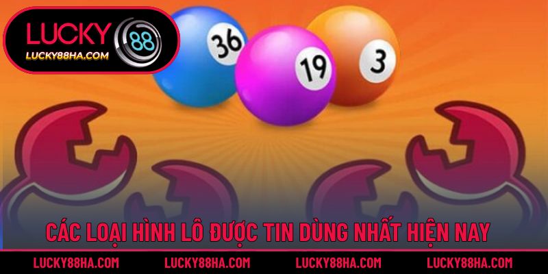 Các loại hình lô được tin dùng nhất hiện nay