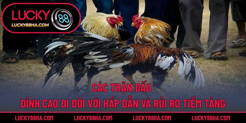 Các trận đấu đỉnh cao đi đôi với hấp dẫn và rủi ro tiềm tảng