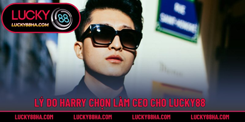 Những nguyên nhân Harry làm CEO cho sân chơi