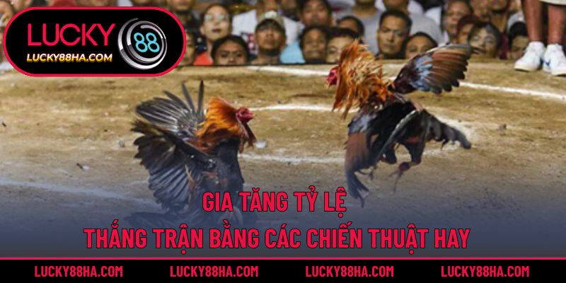 Gia tăng tỷ lệ thắng trận bằng các chiến thuật hay