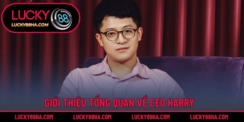 Khái quát đôi nét về CEO Harry