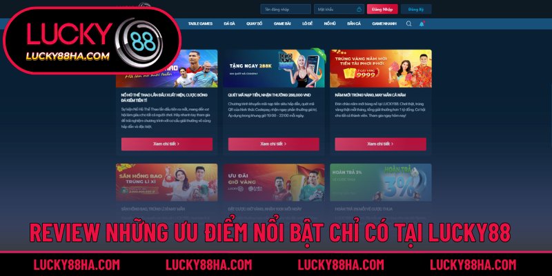 Tập hợp các sức hút chỉ có tại nhà cái