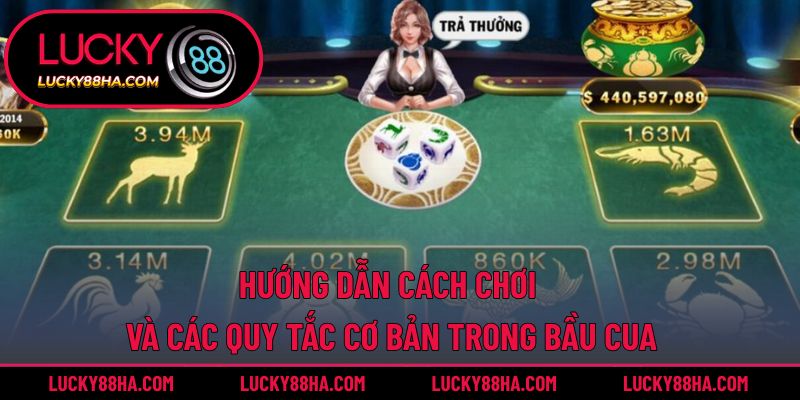 Hướng dẫn cách chơi và các quy tắc cơ bản trong bầu cua