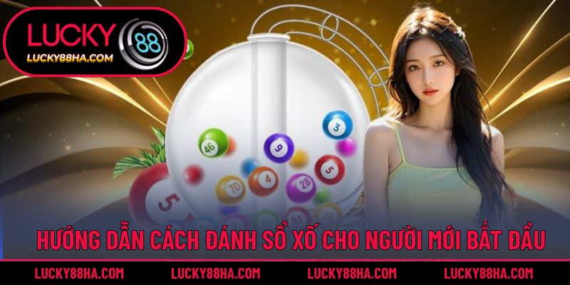 Hướng dẫn cách đánh xổ số cho người mới bắt đầu