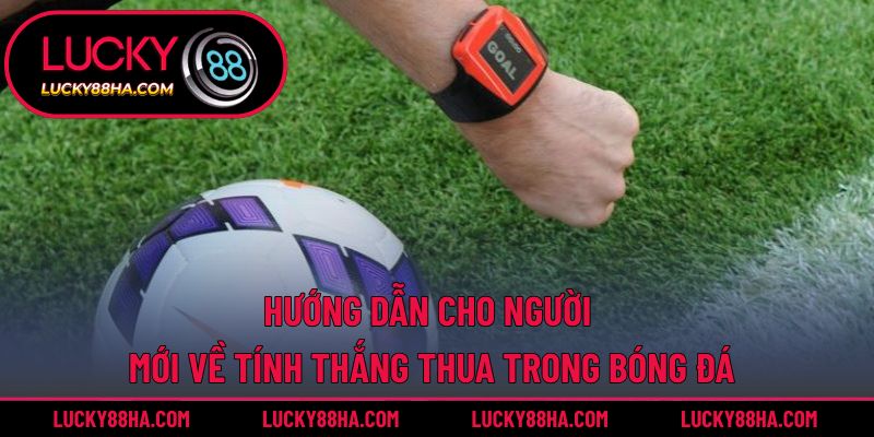 Hướng dẫn cho người mới về tính thắng thua trong bóng đá