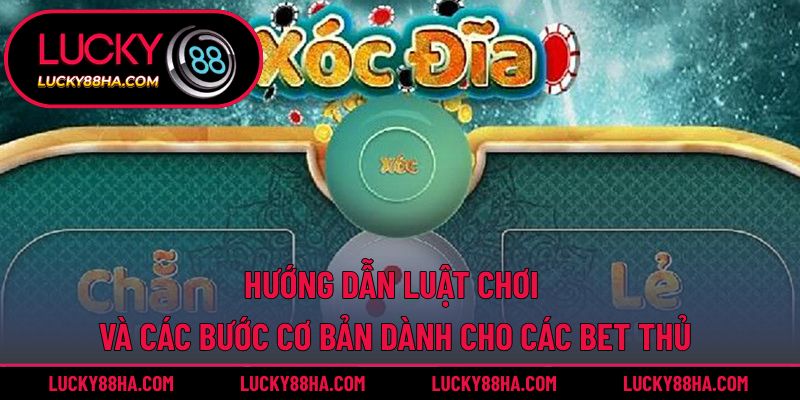 Nắm vững luật trước khi tham gia cá cược