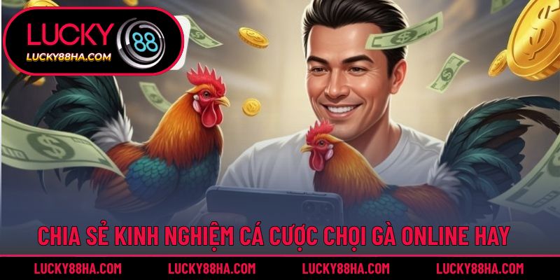 Bật mí các chiến thuật cá cược đá gà hiệu quả