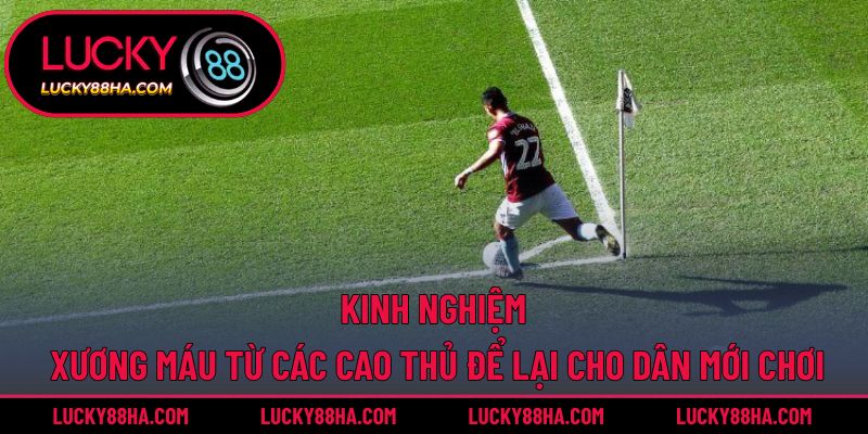 Kinh nghiệm xương máu từ các cao thủ để lại cho dân mới chơi