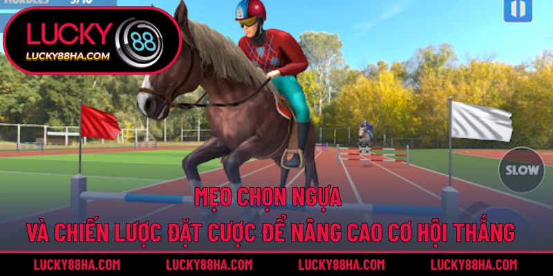 Mẹo chọn ngựa và chiến lược đặt cược để nâng cao cơ hội thắng