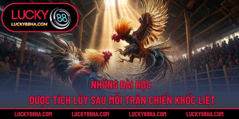 Những bài học được tích lũy sau mỗi trận chiến khốc liệt