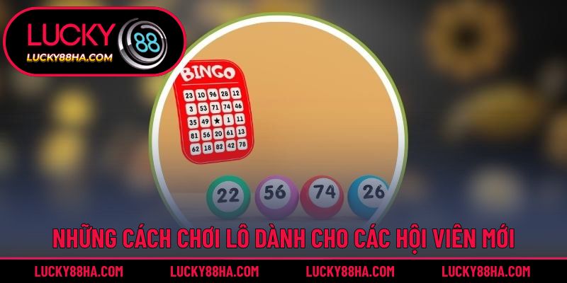 Những cách chơi lô dành cho các hội viên mới