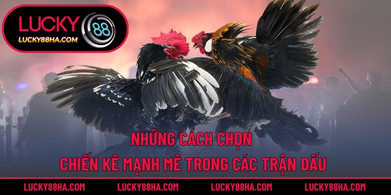 Những cách chọn chiến kê mạnh mẽ trong các trận đấu