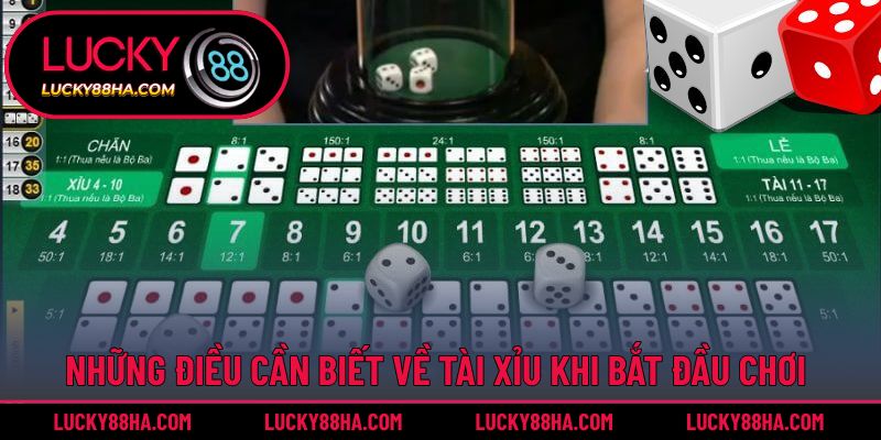 Những điều cần biết về tài xỉu khi bắt đầu chơi