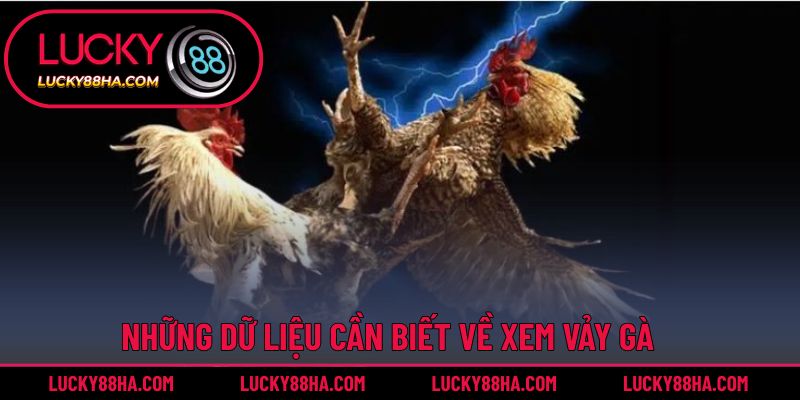 Những dữ liệu cần biết về xem vảy gà