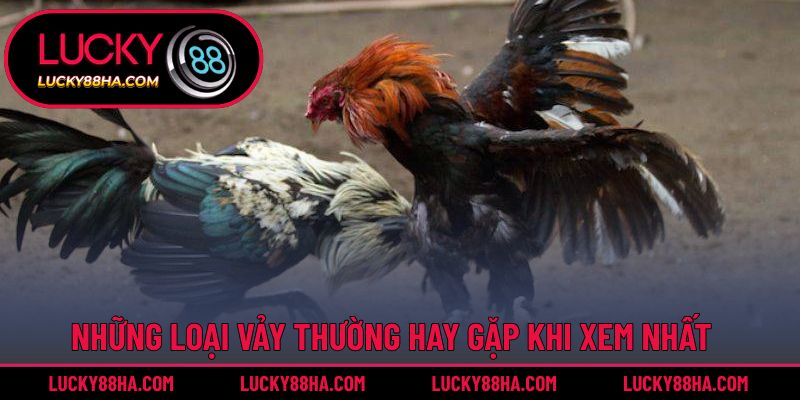Những loại vảy thường hay gặp khi xem nhất