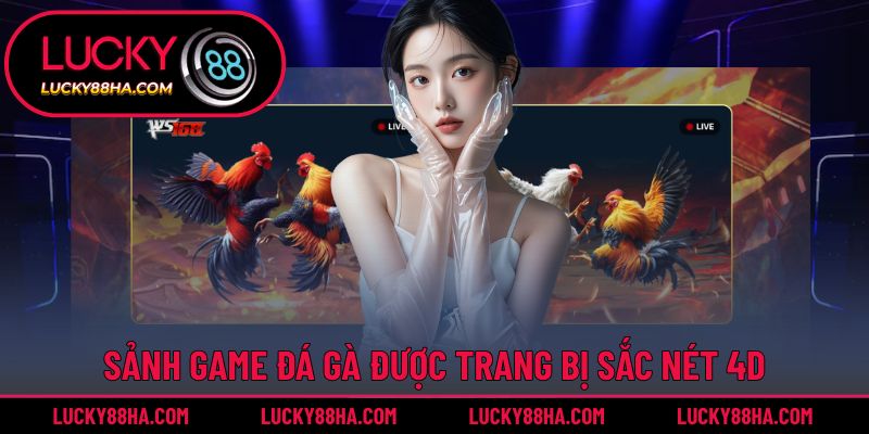 Sảnh game đá gà được trang bị sắc nét 4D