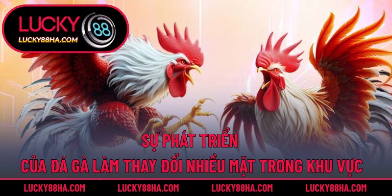 Sự phát triển của đá gà làm thay đổi nhiều mặt trong khu vực