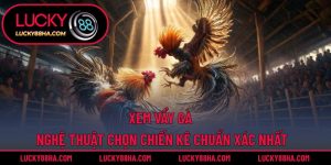 Xem Vẩy Gà – Nghệ Thuật Chọn Chiến Kê Chuẩn Xác Nhất